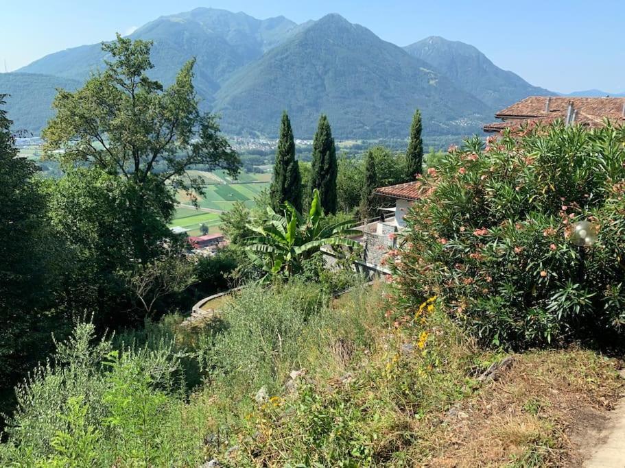 Un Sogno Nella Natura Hébergement de vacances