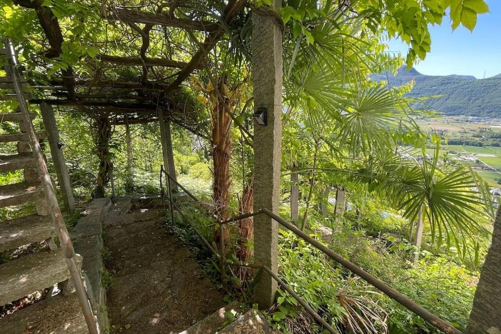 Un Sogno Nella Natura Agarone